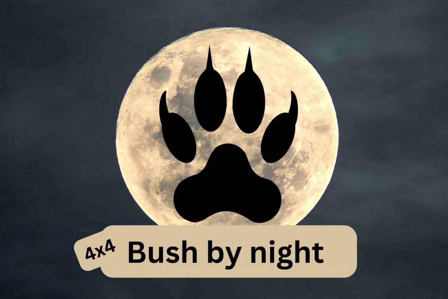 Victoriafallen: 4x4 Bush med nattkörning