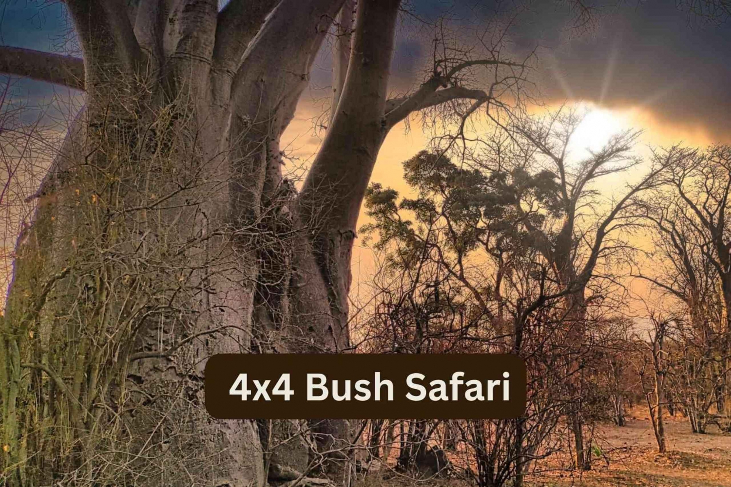 Victoria Falls: 4x4 Bush Safari