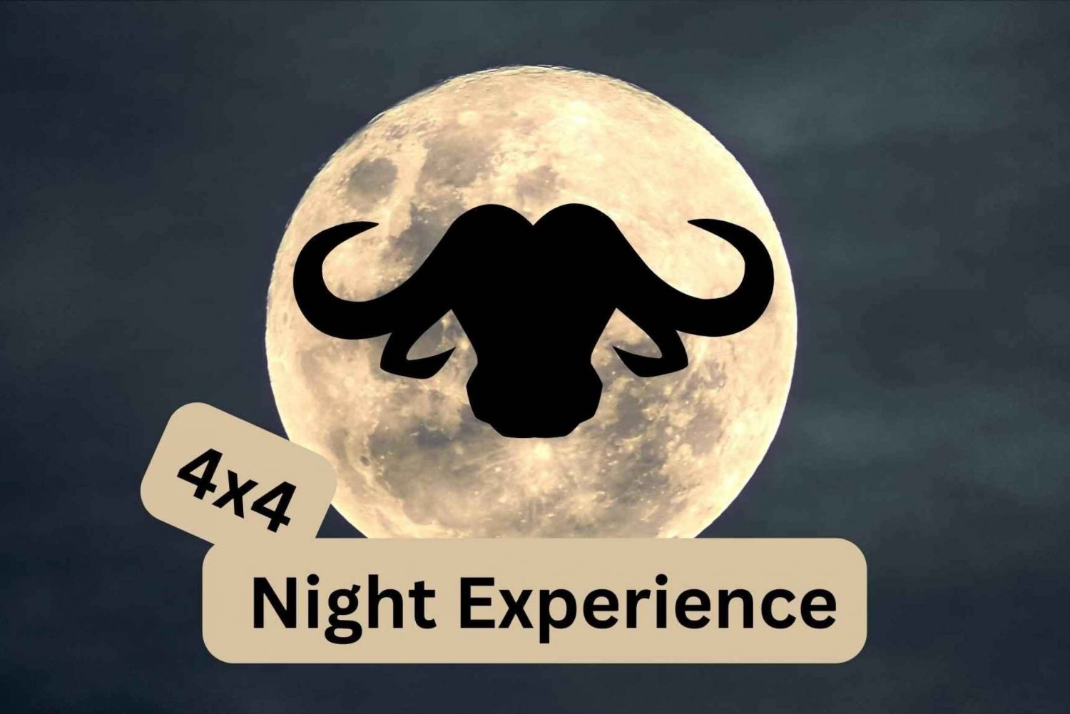 Victoria Falls : 4x4 Night Experience around Victoria Falls