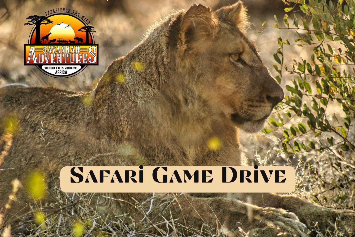 Victoria Falls: 4x4 Safari Game Drive Vic Falls