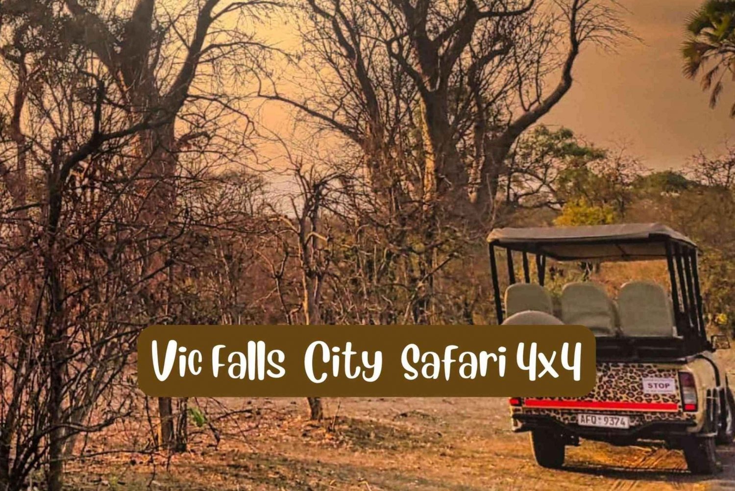 Cascate Vittoria: Safari della città di Victoria Falls in 4x4