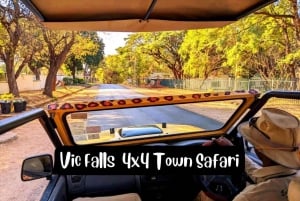 Victoria Falls: 4x4 Victoria Falls City Safari