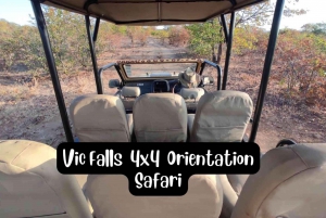 Victoria Falls: 4x4 Victoria Falls Stadt Safari
