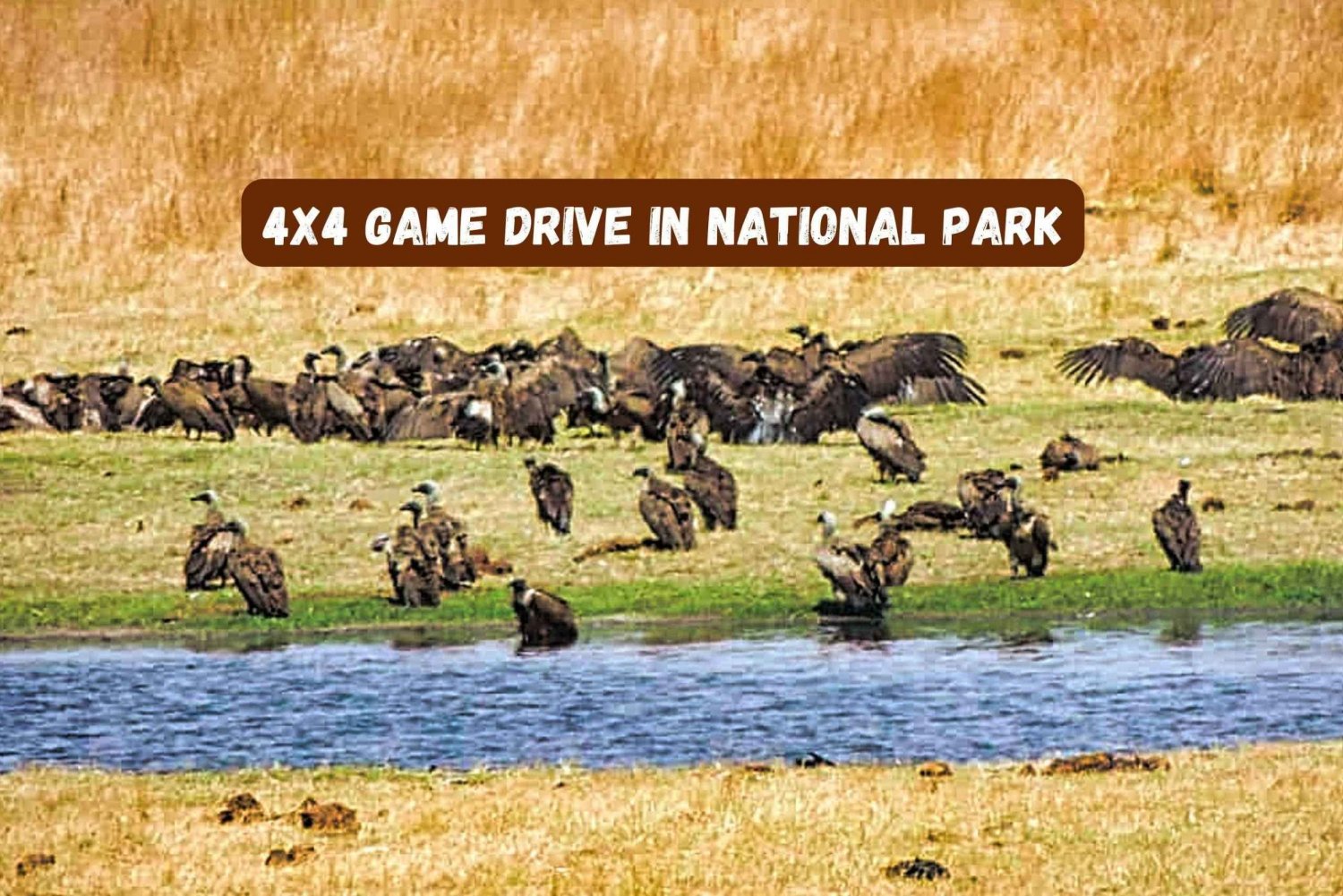 Cascate Vittoria: Percorso di caccia del Parco Nazionale dello Zambesi in 4x4