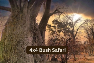 Victorian putoukset: Zambezin kansallispuiston 4x4-ajelu