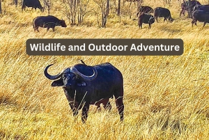 Victoriafallene: 4x4-safari i Zambezi nasjonalpark