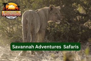 Victoria Falls: 4x4 safari på Zambezifloden