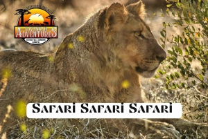 Victoria Falls: 4x4 safari på Zambezi-floden