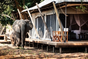 Victoria Falls: 5-Day Zambezi & Chobe National Park Tour
