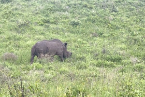 Victoria Falls: 5-Day Zambezi & Chobe National Park Tour