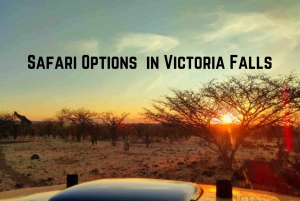 Victoria Falls : Safari 4x4 africain dans la brousse