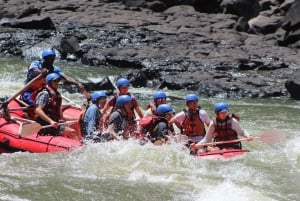 Transfer aeroportuale per le Cascate Vittoria