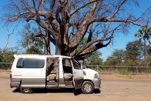 Victoria Falls : Airport Transfers