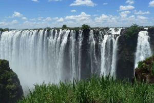 Victoria Falls Best of Both Sides heldagsoplevelse