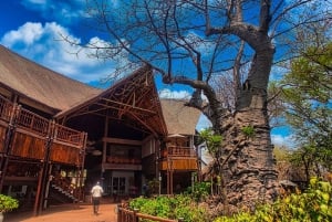 Cataratas Victoria: Excursión de un día a Chobe y Quadripoint con almuerzo