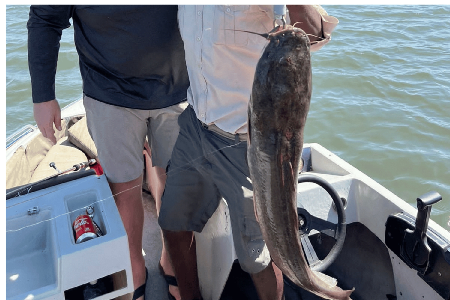 Cascate Vittoria: safari di pesca al pesce tigre sul fiume Chobe con pranzo