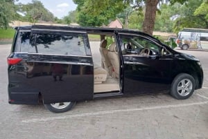 Wodospady Wiktorii: safari z połowem tygrysich ryb na rzece Chobe z lunchem