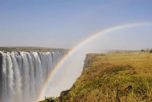 Victoria Falls Cross Border guidet tur