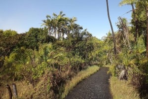 Victoria Falls Cross Border guidet tur