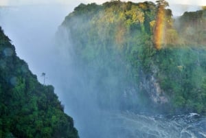 Victoria Falls Cross Border guidet tur