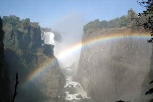 Victoria Falls Cross Border guidet tur