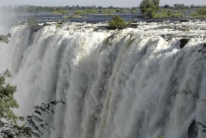 Victoria Falls Cross Border guidet tur