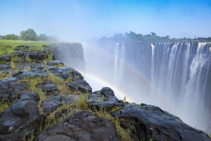 Guidet tur til Victoria Falls på tværs af grænsen