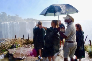 Guidet tur til Victoria Falls på tværs af grænsen