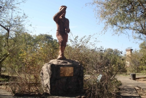 Guidet tur til Victoria Falls på tværs af grænsen