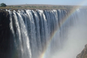 Guidet tur til Victoria Falls på tværs af grænsen