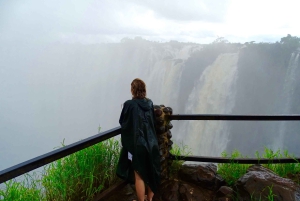 Guidet tur til Victoria Falls på tværs af grænsen
