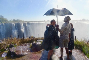 Guidet tur til Victoria Falls på tværs af grænsen