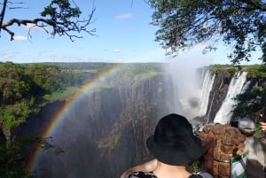 Victoria Falls: Devil’s Pool or Angel’s Pool Tour