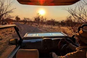 Victoria Falls: Dry Safari Game drive in National Park