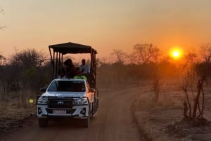 Victoria Falls: Dry Safari Game drive in National Park