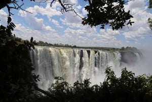 Victoria Falls Dual-Side Day Trip from Kasane Zim & Zambia