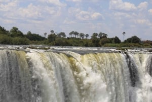 Victoria Falls Dual-Side Day Trip from Kasane Zim & Zambia