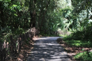 Victoria Falls Dual-Side Day Trip from Kasane Zim & Zambia