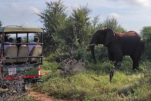 Victoria Falls: Safari med elefantvandring