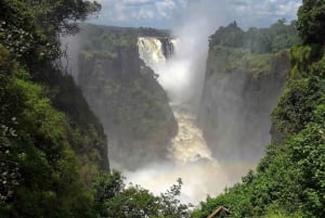 Victoria Falls: Falls and Zambezi River All-Day Guided Tour