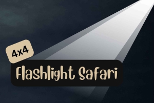 Victoria Falls: Bush-oplevelse med lommelygte og stjernekiggeri