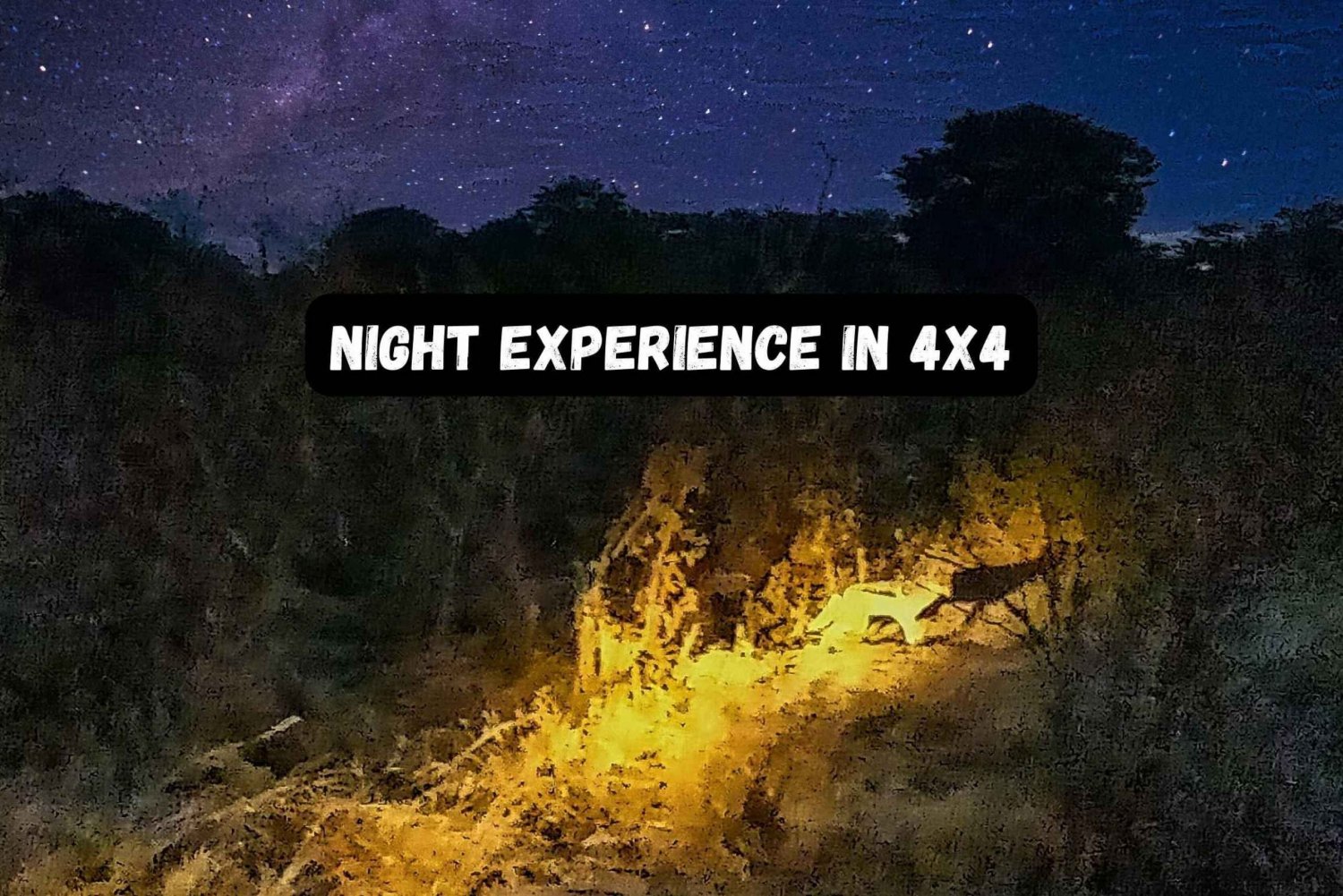 Victoria Falls: Flashlight Bush Experience Drive in 4x4