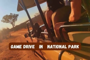 Cataratas Vitória: Passeio de carro no Parque Nacional do Zambeze