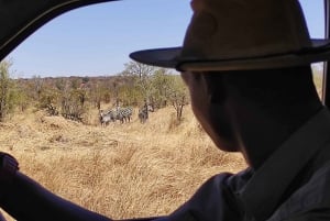 Cataratas Vitória: Passeio de carro no Parque Nacional do Zambeze