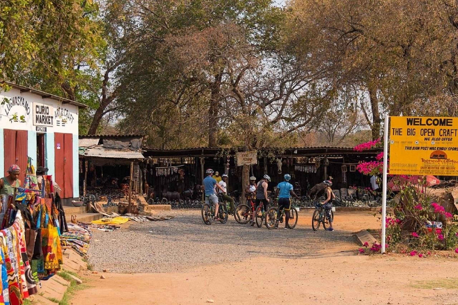 Victoria Falls: Guided Bicycle Tour with Local Guide