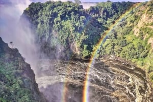 Victoria Falls: Guided Bridge Safari with Museum + Falls