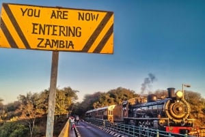 Victoria Falls: Guidet bro-safari med museum