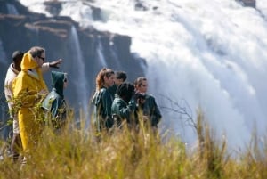 Ultimate Falls Experience - Tour, Abseil, Swim & Hike