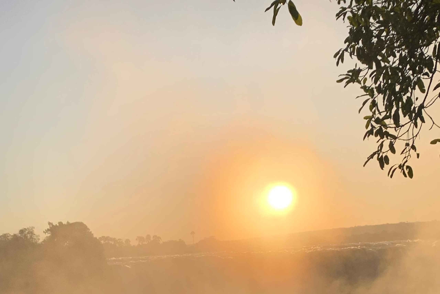 Victoria Falls: Guidet tur i regnskoven ved vandfaldene