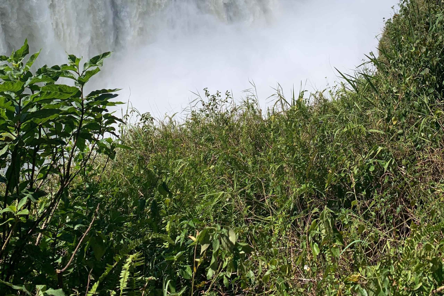 Victoria Falls: Guidet tur i regnskoven ved vandfaldene